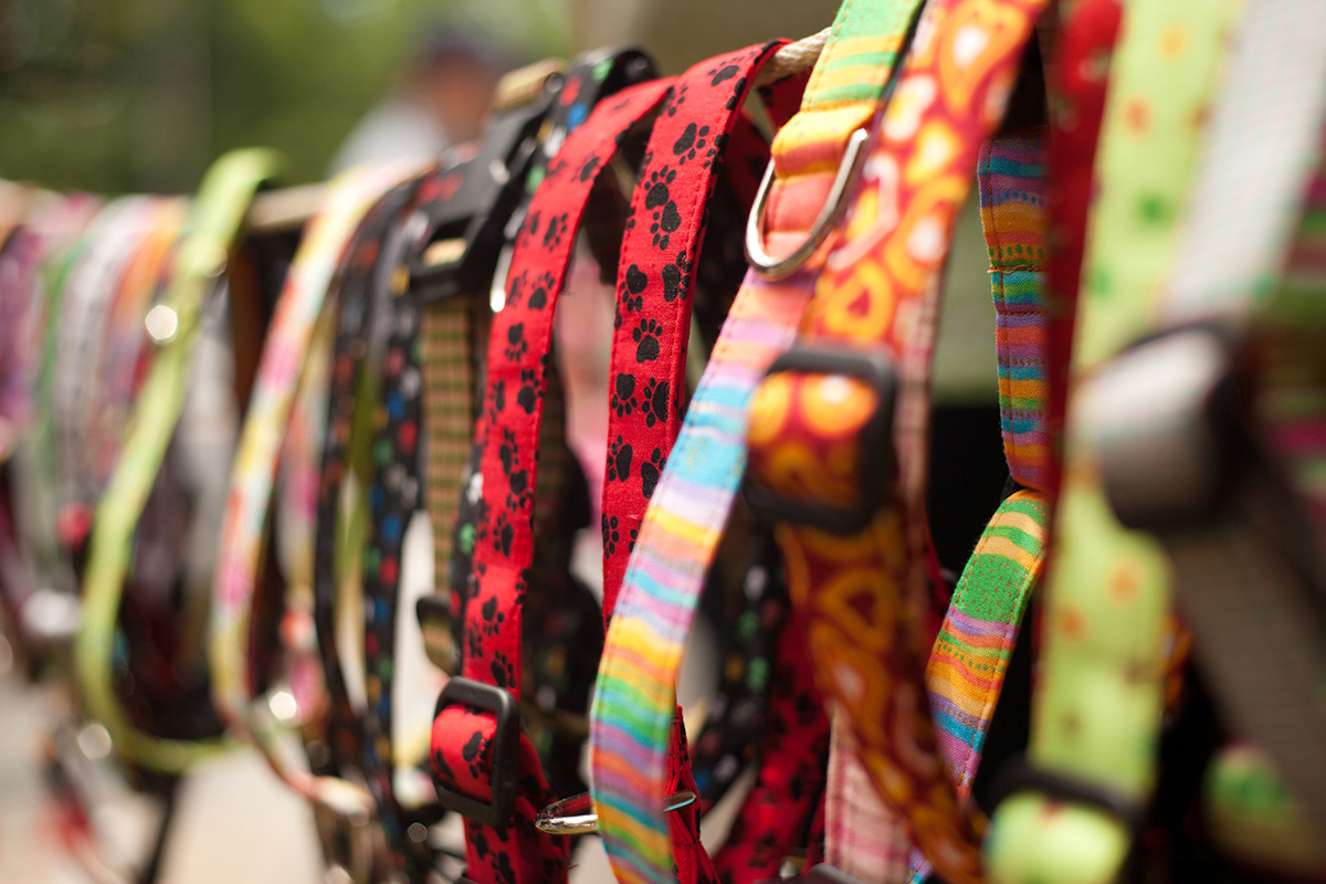 Pet store Communication, Execution and Automation | InspectLoop